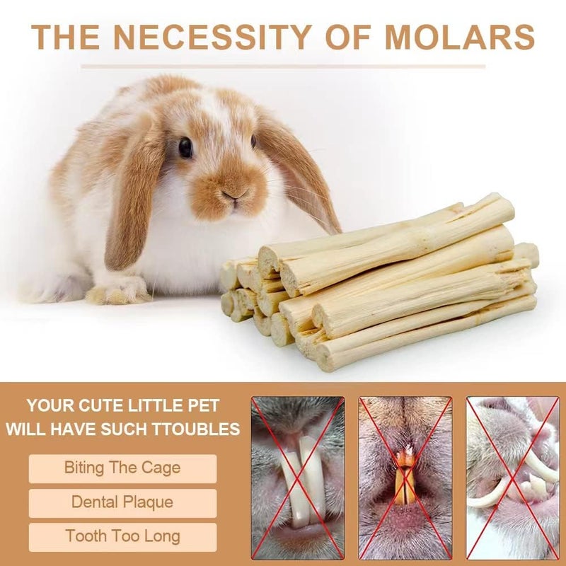 Dbeans Flourithing 300g Guinea Pig & Rabbit Chew Toys with Apple & Timothy Sticks - Prevent Overgrown Teeth with Sweet Bamboo Treats - Ideal Rabbit Treats Included - Image 5